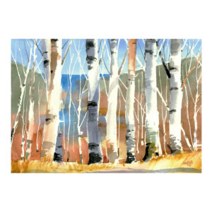 Birch Trees by Jim Hillis