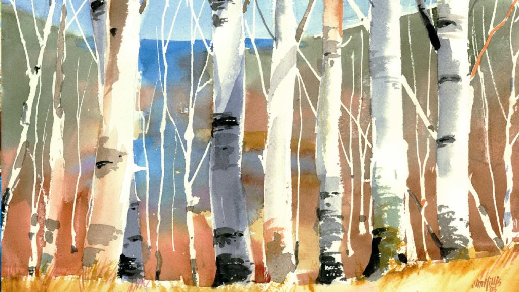 Birches by Jim Hillis
