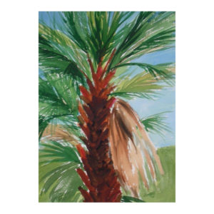 Palm Tree by Jim Hillis
